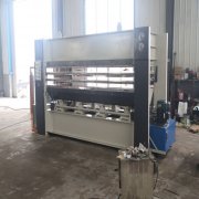 簡述熱壓機齒輪泵困油問題及其危害